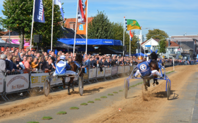 Paarden Stal de Groningers in topvorm naar Roden