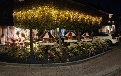 De Boskamp als winnaar van de Straatverlichtingsprijs!