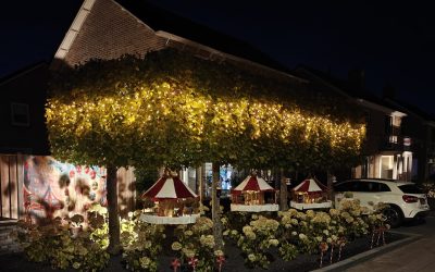 Heel Roden in feeststemming: doe mee aan de Straatverlichtingsprijs