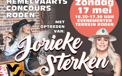 Vuurwerkshow Kleintje Rodermarkt dit jaar helaas niet – wél een spetterend alternatief!