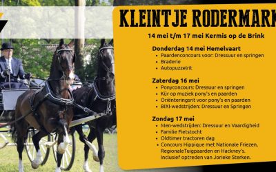 Programma tijdens ‘Kleintje Rodermarkt’